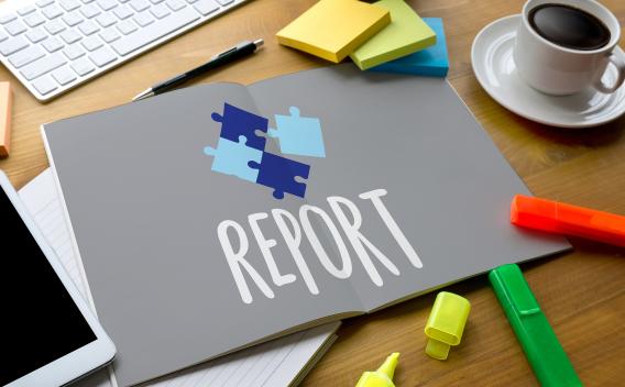 Inspection Reports
