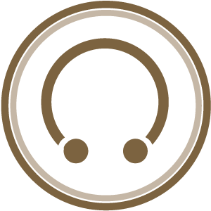 Piercing Icon
