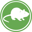 Rodents - Hantavirus